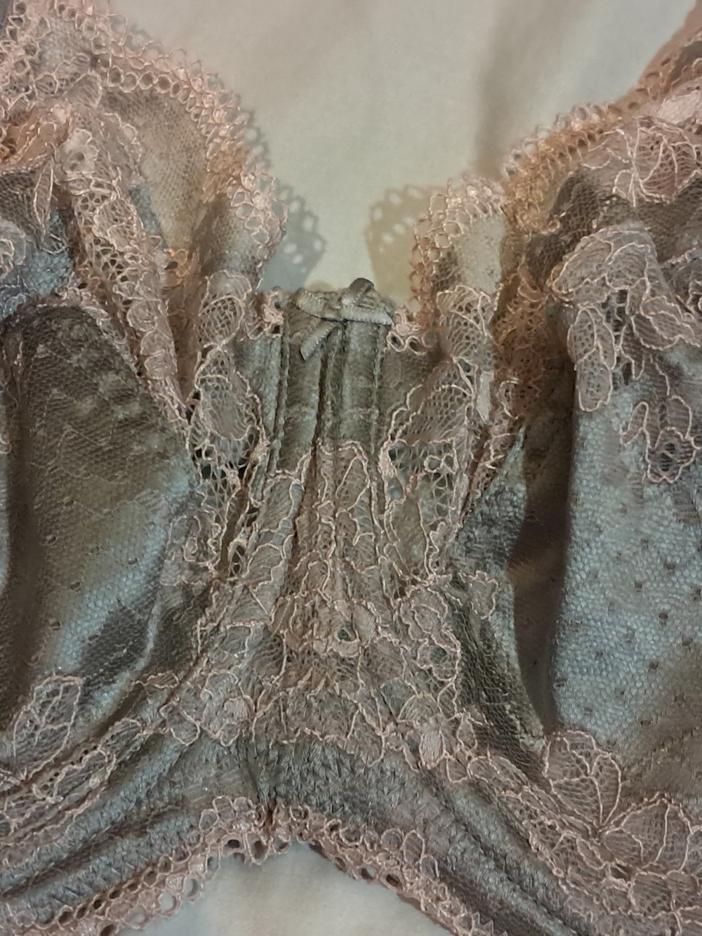 Panache "Clara" Lace Underwire Bra in Blush Pink And Dusty Rose - Picture 2 of 8